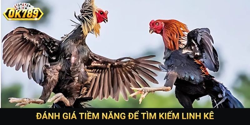 Đánh giá tiềm năng để tìm kiếm linh kê