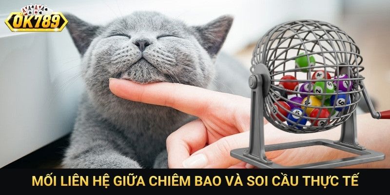 Mối liên hệ giữa chiêm bao và soi cầu thực tế